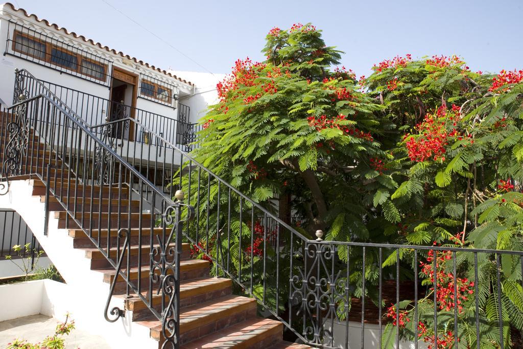 Alsol Las Orquideas Πλάγια ντελ Ινγκλές Εξωτερικό φωτογραφία