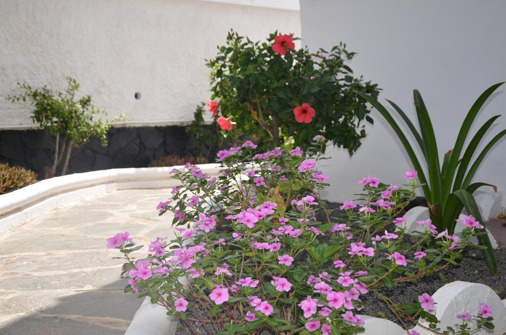 Alsol Las Orquideas Πλάγια ντελ Ινγκλές Εξωτερικό φωτογραφία