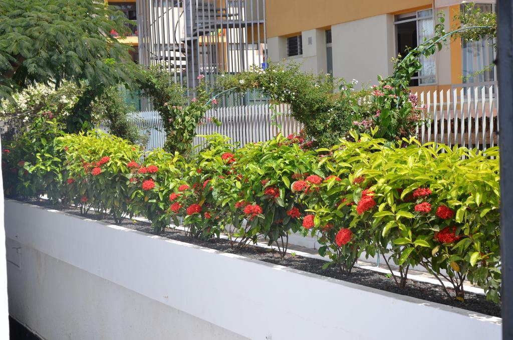 Alsol Las Orquideas Πλάγια ντελ Ινγκλές Εξωτερικό φωτογραφία