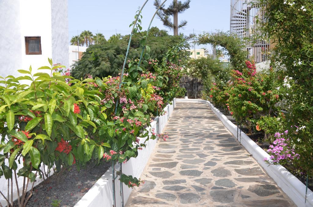 Alsol Las Orquideas Πλάγια ντελ Ινγκλές Εξωτερικό φωτογραφία